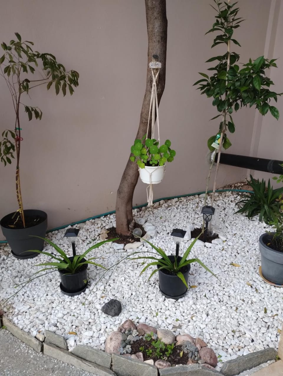 Patio, Balcony/Terrace