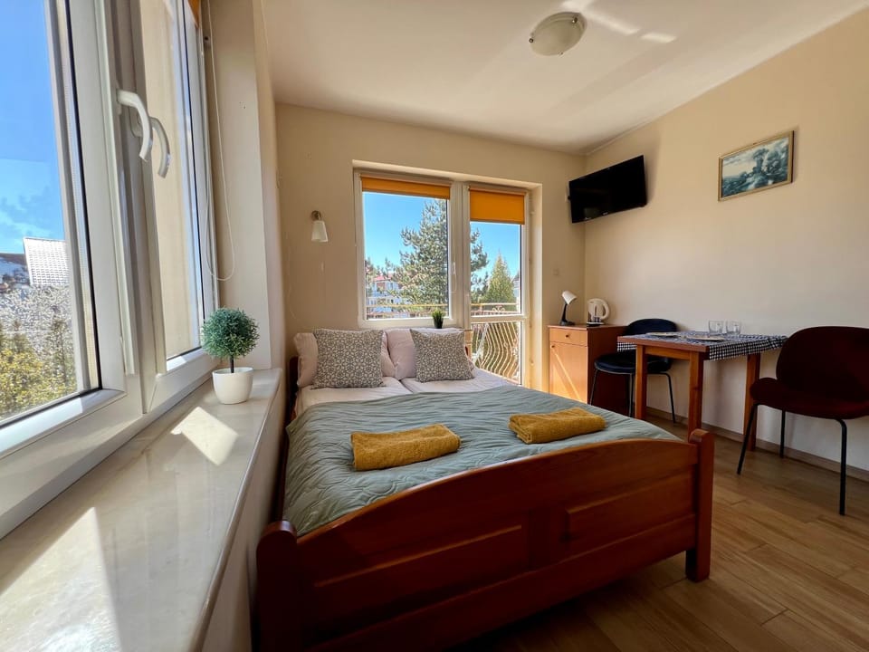 Bed, TV and multimedia, Living room, Photo of the whole room, Seating area, Bedroom