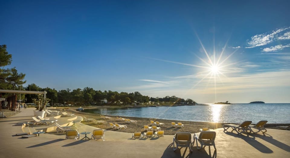 4 Palme Apartments NEW Apartment in Istria County