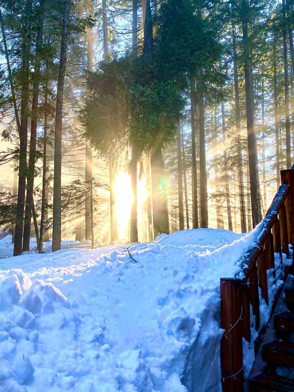 Property building, Day, Natural landscape, Winter