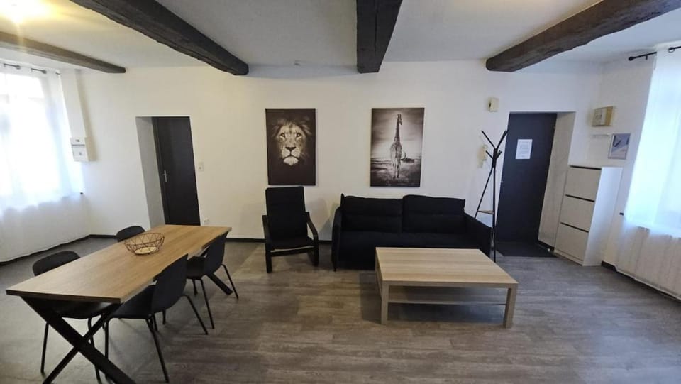 La Tanière royale - T2- wifi - Parking- Château Apartment in Grand Est