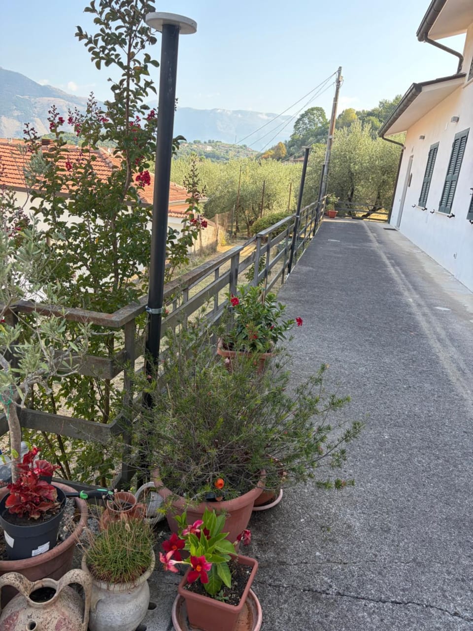 Garden view