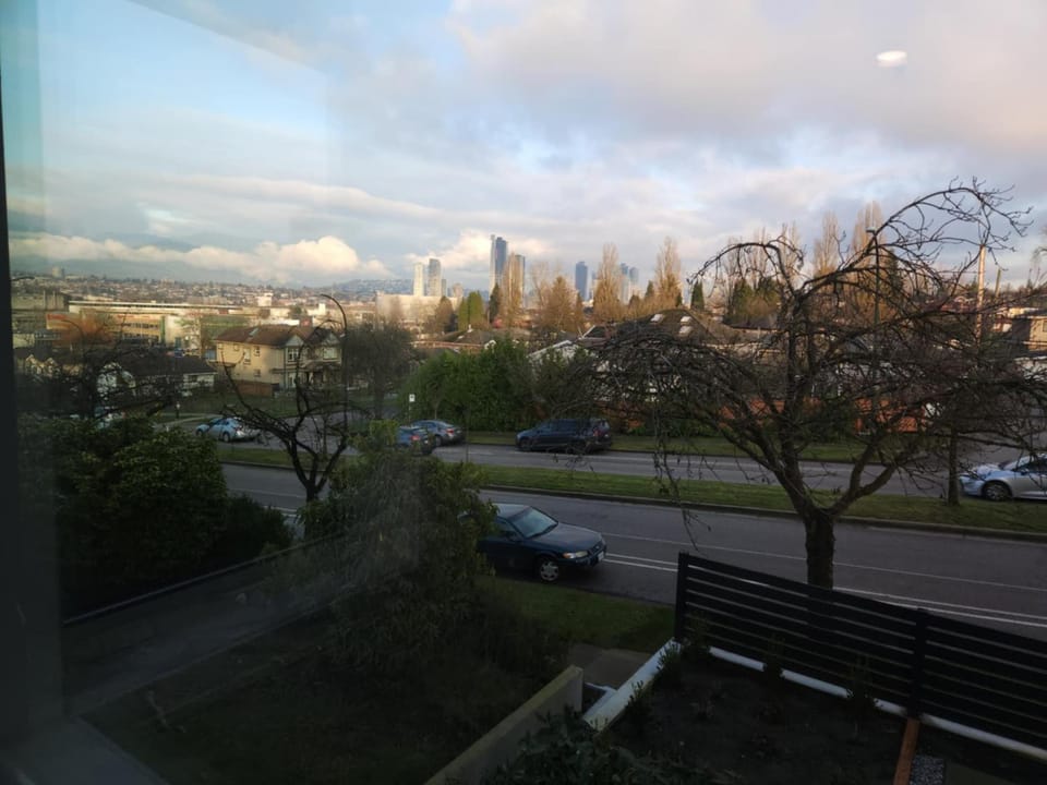 Natural landscape, City view, Street view