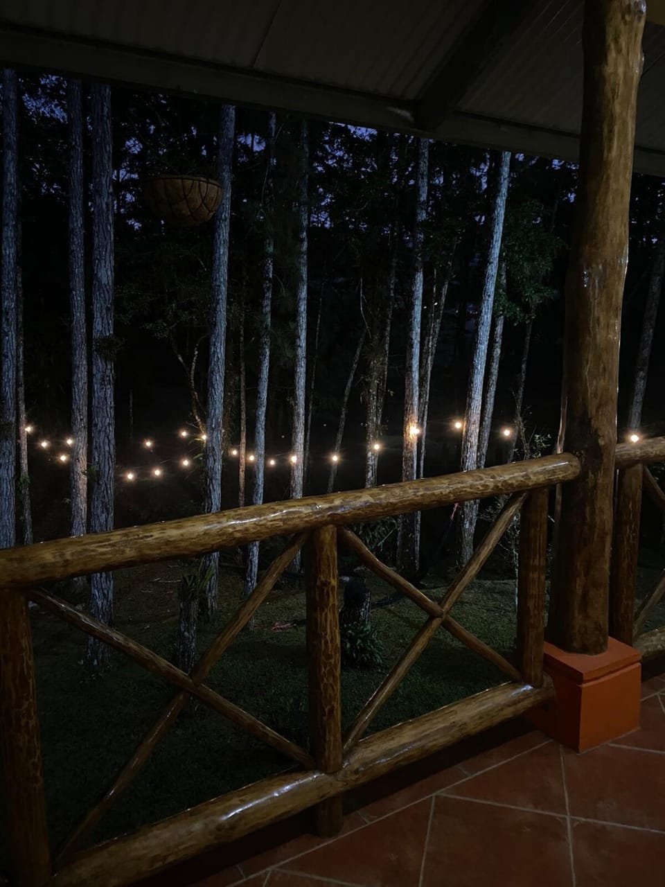 Night, Natural landscape