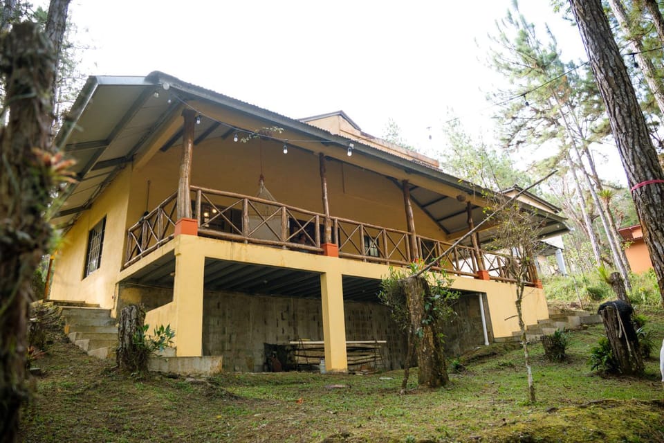 Property building, Natural landscape, Garden
