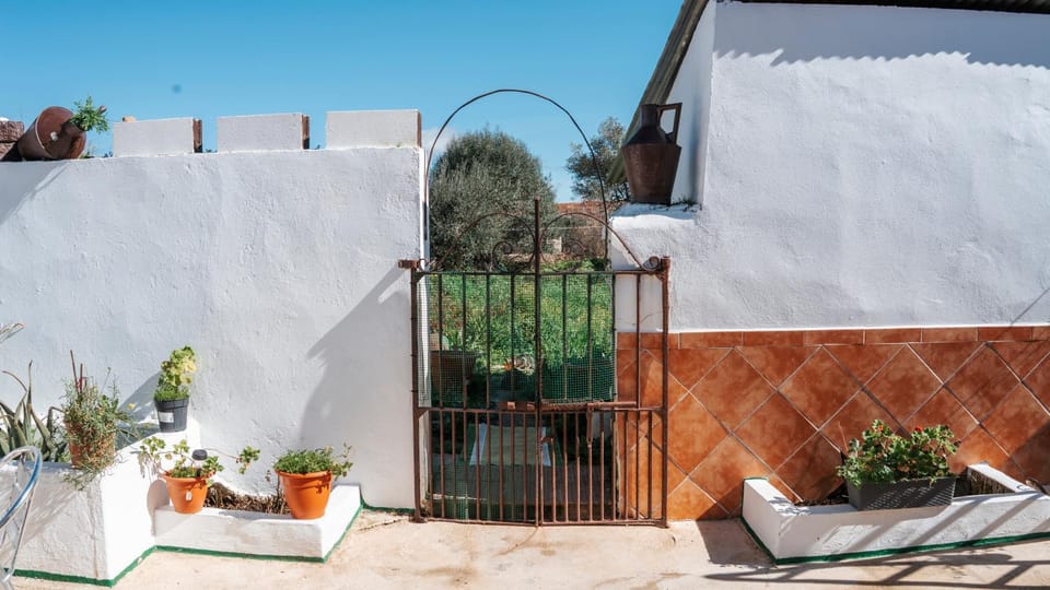 Patio, Day, Garden, Balcony/Terrace, Garden view
