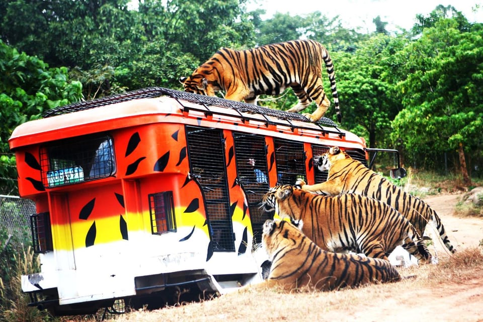 Natural landscape, Animals