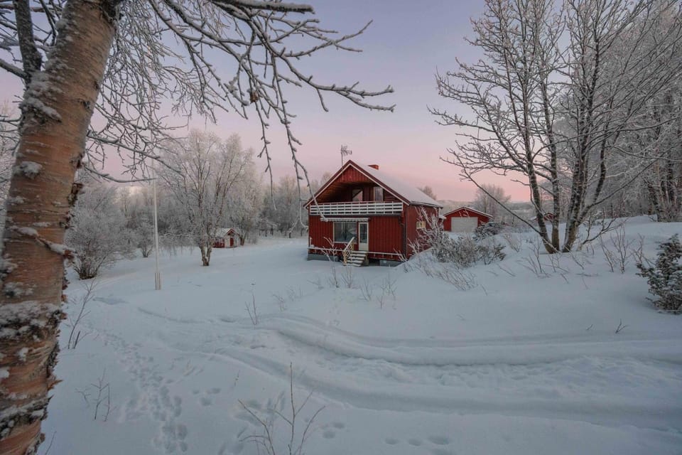 Aurora Lodge House in Lapland