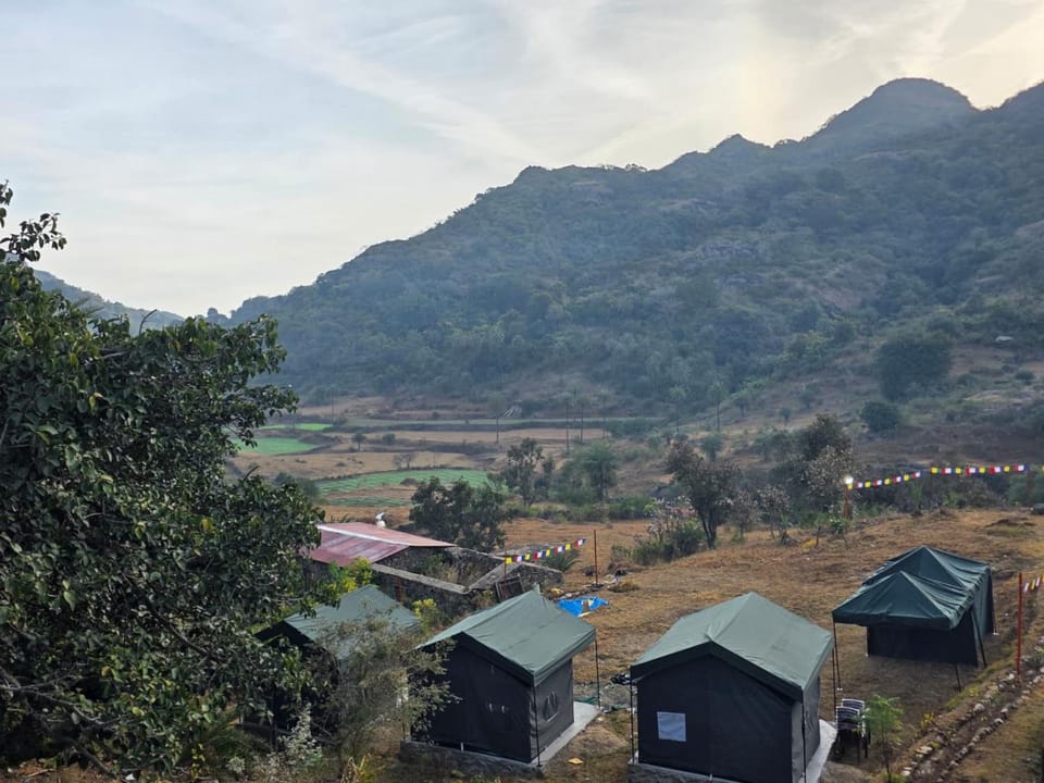 Nomad Nivas Campsite Campground/ 
RV Resort in Gujarat