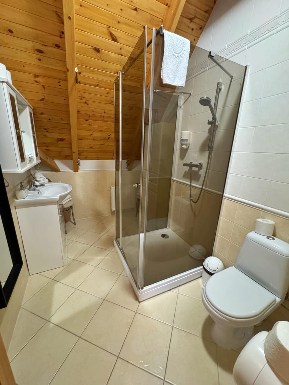 Shower, Toilet, Bathroom, towels