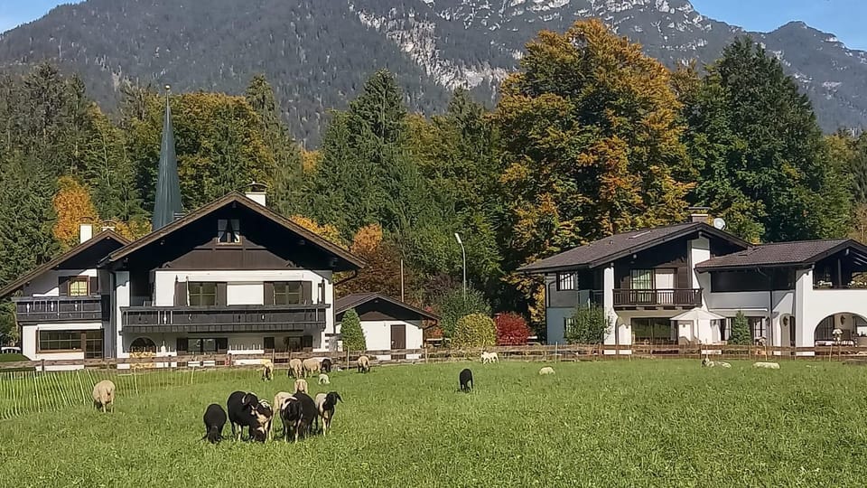 Property building, Natural landscape
