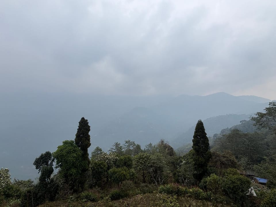Spring Valley Homestay Rishop Vacation rental in West Bengal