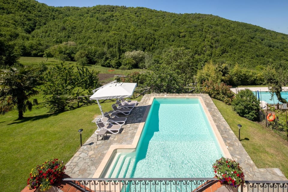 Garden, Solarium, Garden view, Pool view, Swimming pool, sunbed