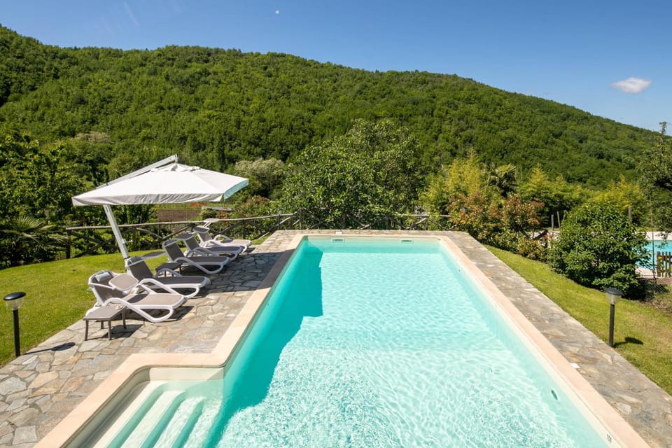Garden, Solarium, Garden view, Pool view, Swimming pool, sunbed