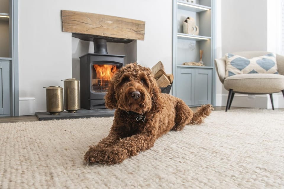 Living room, Seating area, Pets, pet friendly