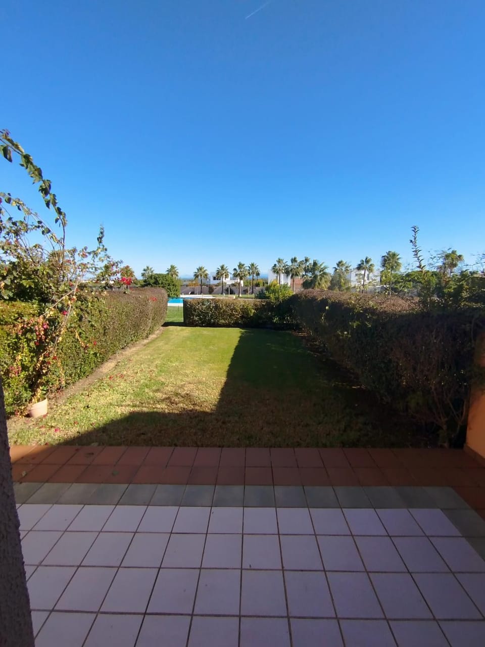 Day, Garden, Garden view