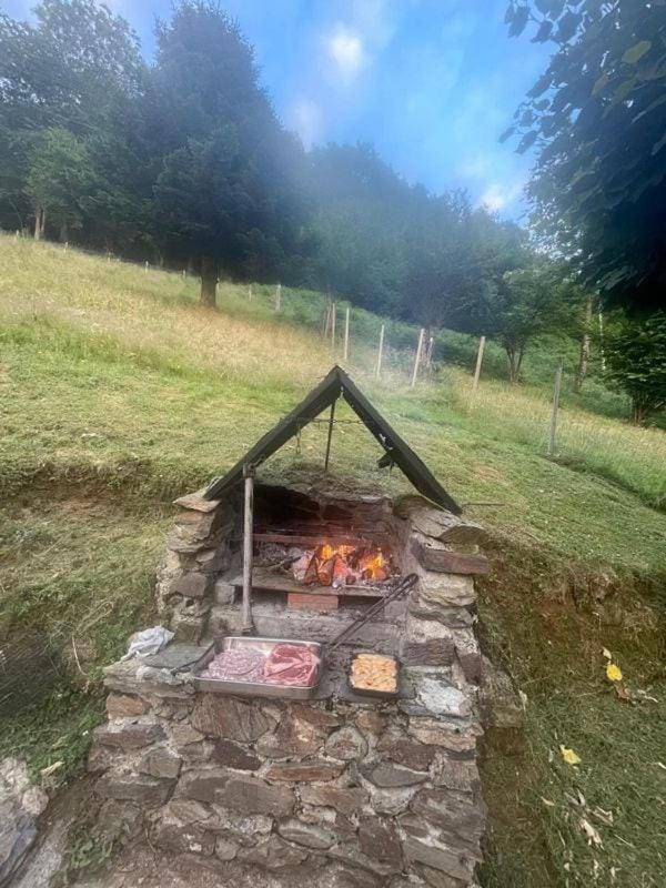 Chalet Barimale House in Occitanie