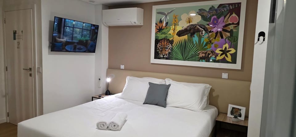 Bed, TV and multimedia, Photo of the whole room, air conditioner