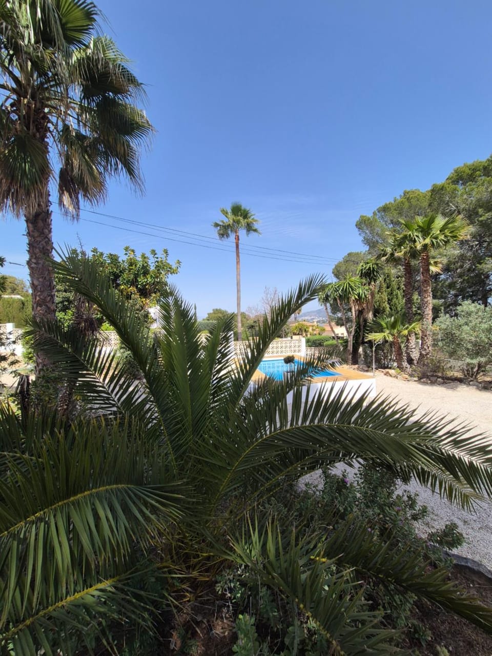 Garden, Swimming pool