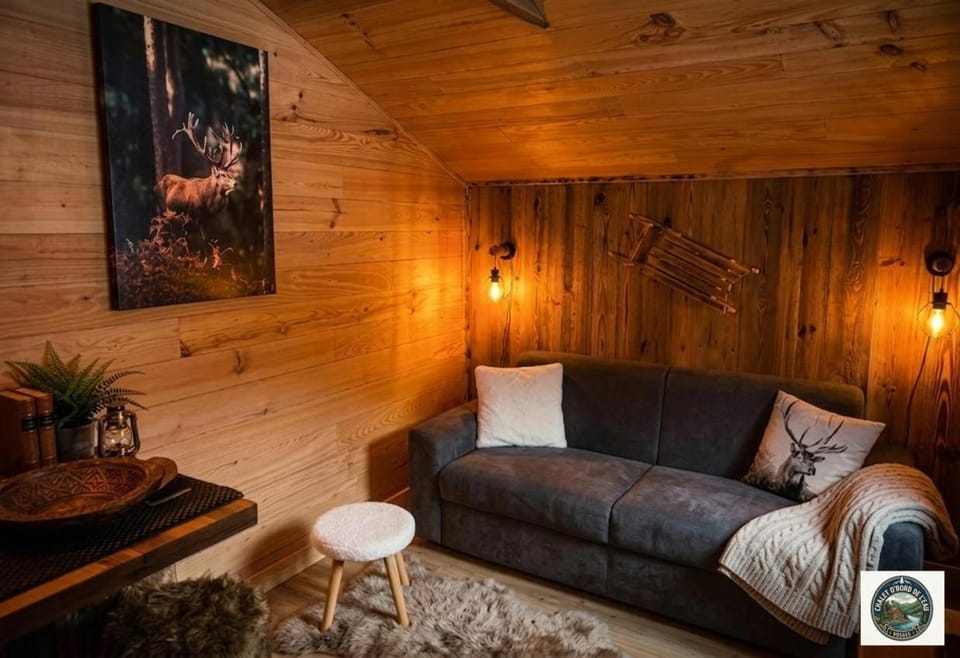 Chalet Lodge - O'Bord de l'Eau Apartment in Gérardmer