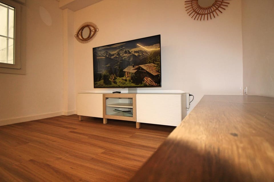TV and multimedia