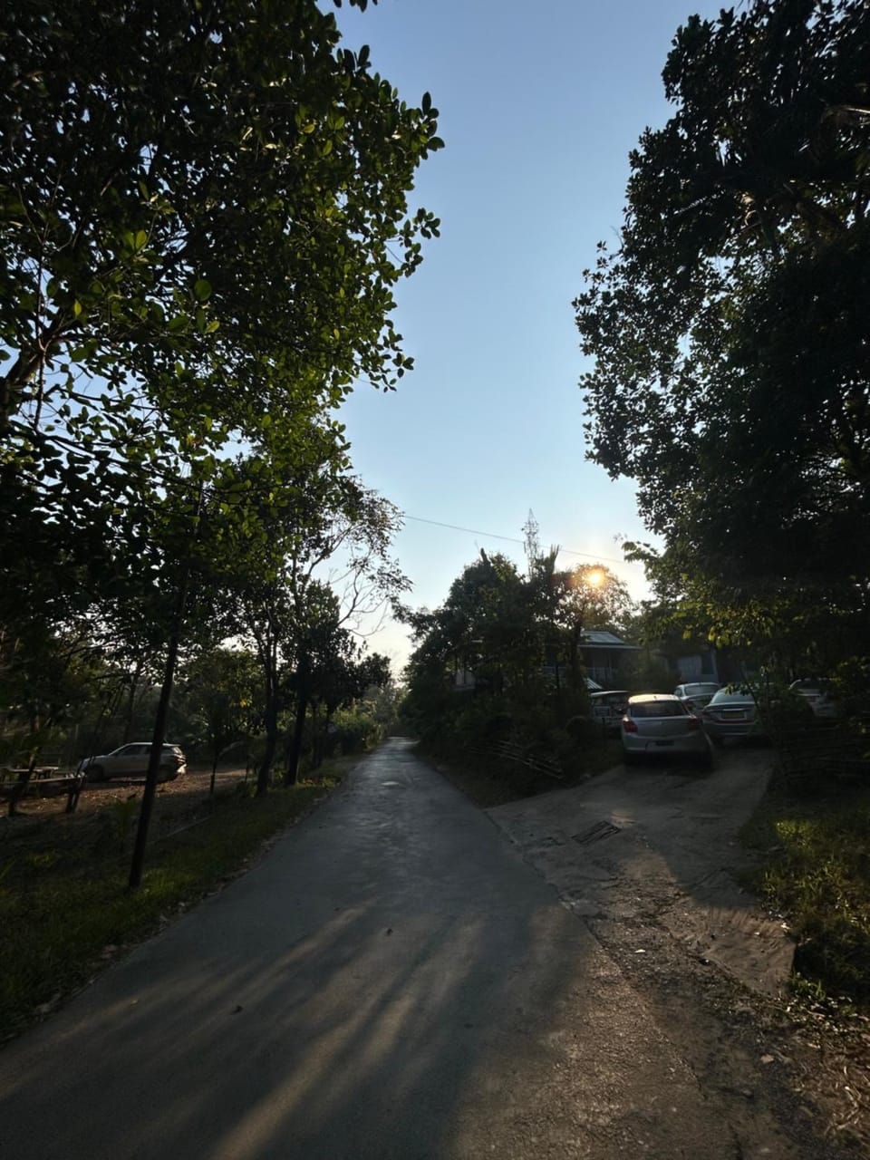 Verde Guest House Bed and Breakfast in India