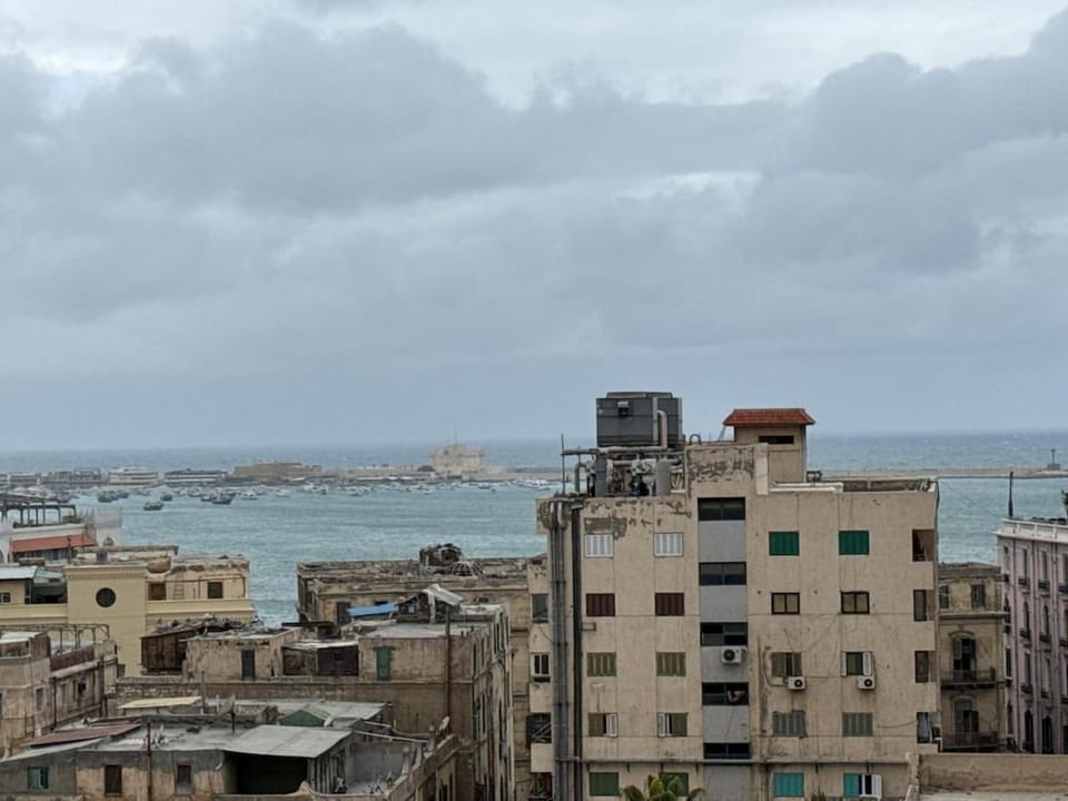 Seaview Downtown 2BR Apartment Apartment in Alexandria