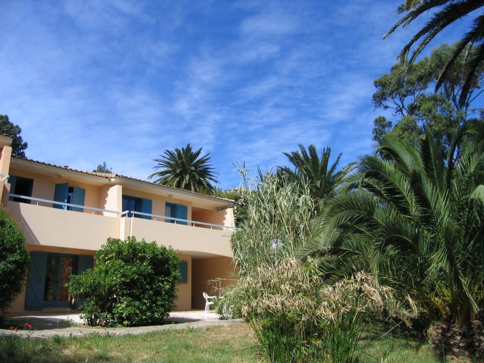 Property building, Garden, Garden view