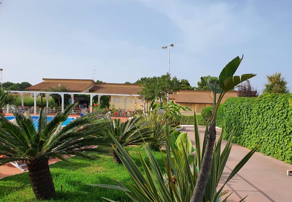 Garden, Garden view, Pool view, Swimming pool