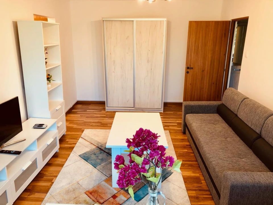 Joy City Stay Martir Miroslav 15 Apartment in Timisoara