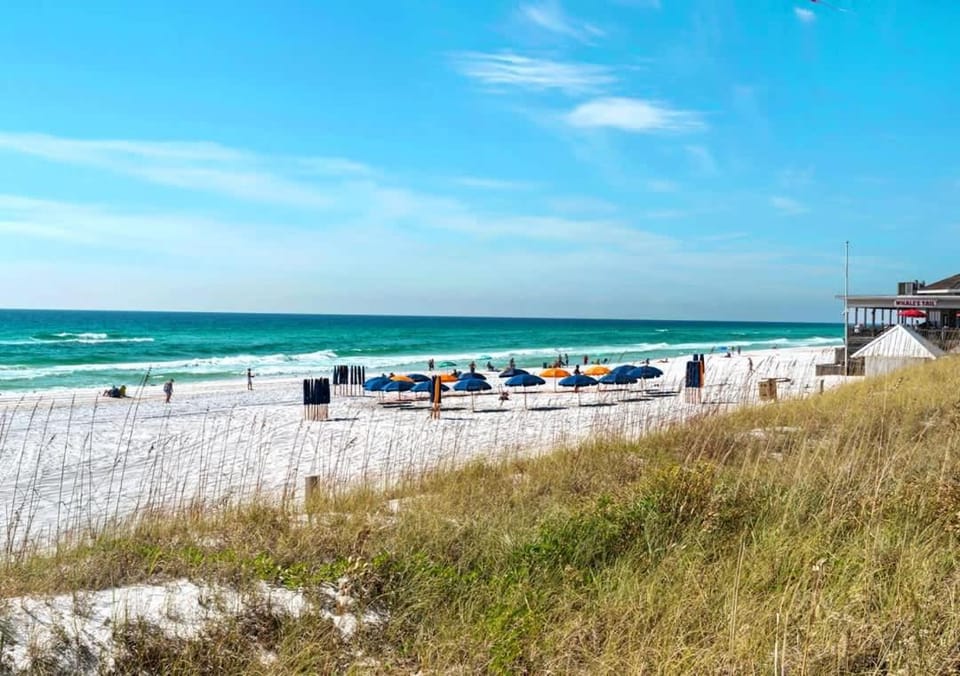 Cabin by the Sea - 3BDR - Pool & Walk 2 Beach Cabin in Miramar Beach