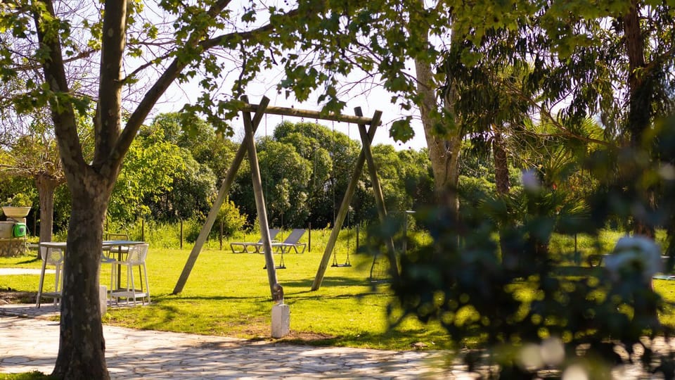 Day, Garden, Garden view