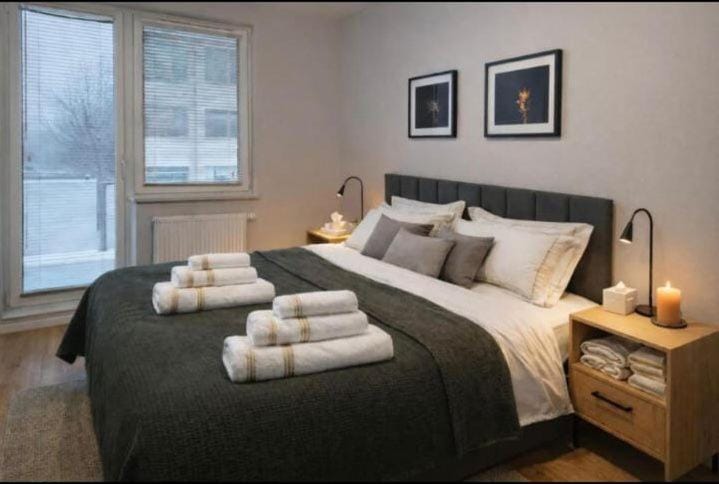 APARTAMENT FLOW Walendów Apartment in Masovian Voivodeship