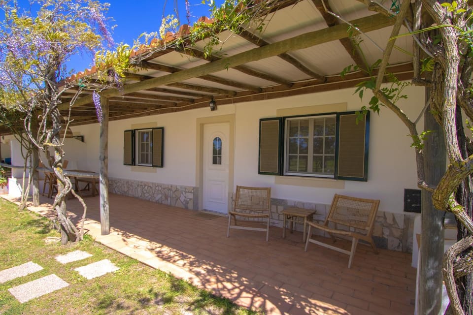 Property building, Garden, Garden view