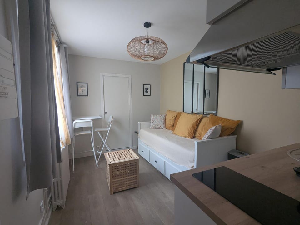 Le logis d'Aliènor Apartment in Poitiers