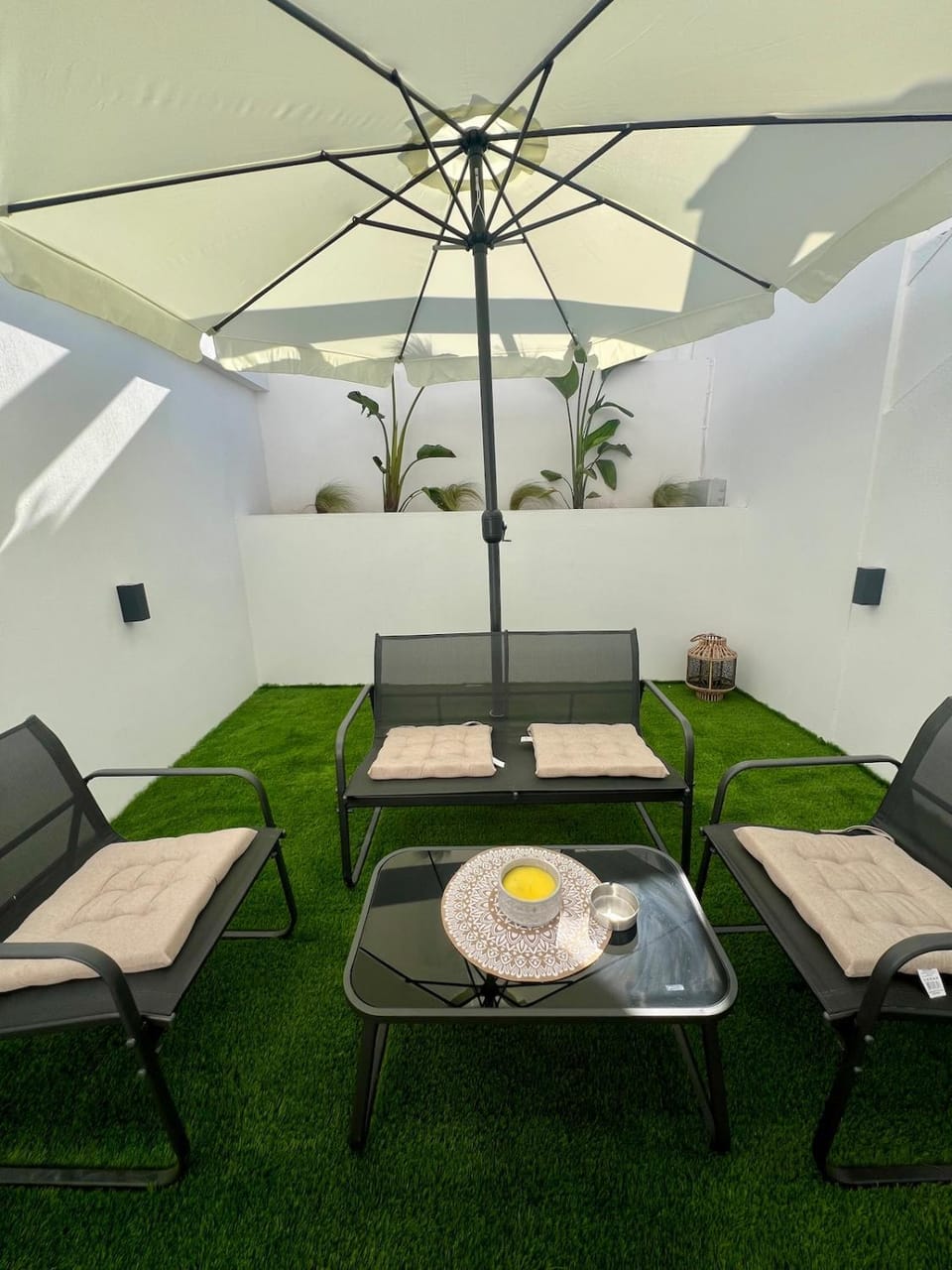 Patio, Garden