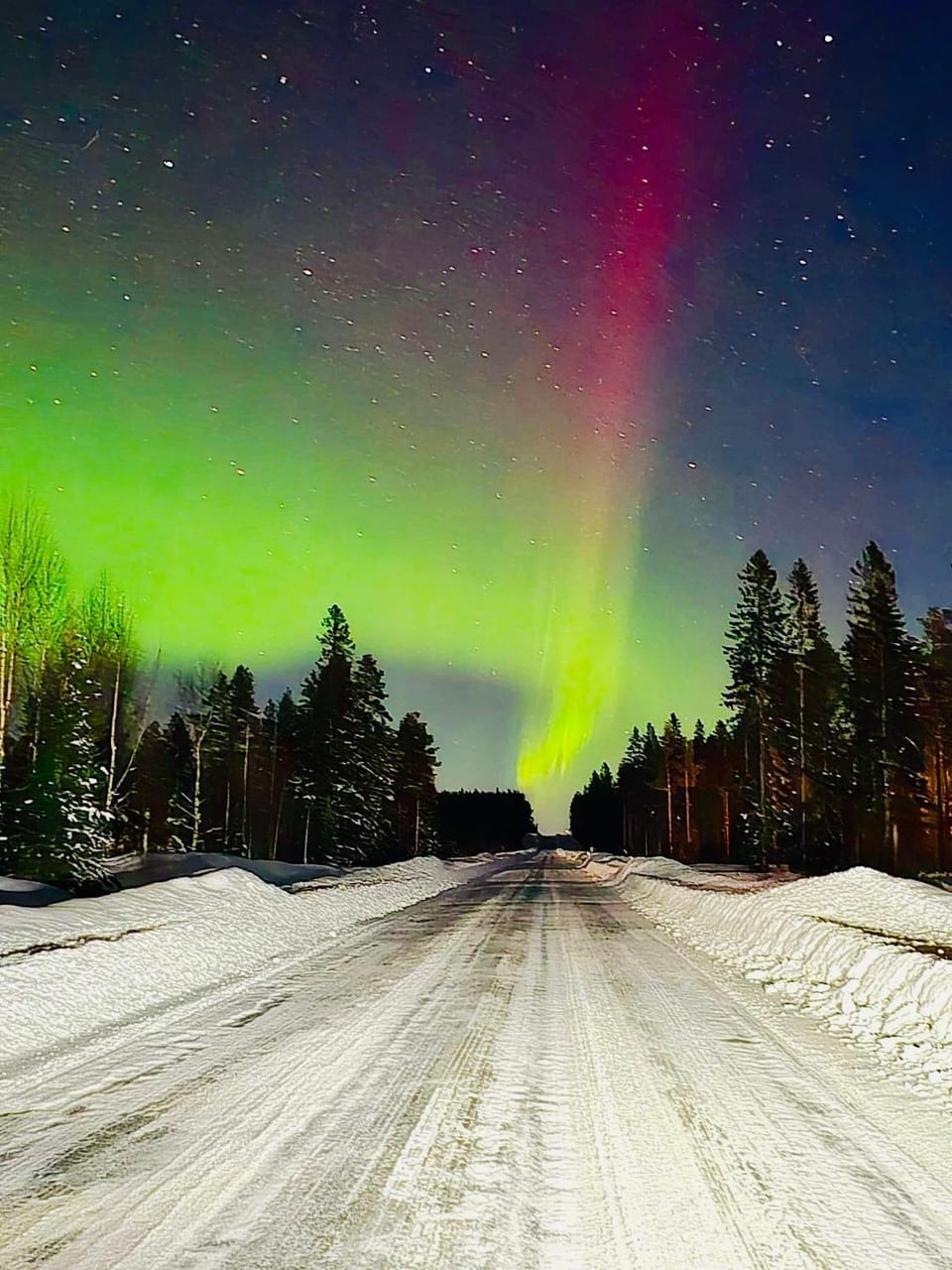 Cozy Central Luleå Apartment Steps from Train & Bus Apartment in Norrbotten County, Sweden