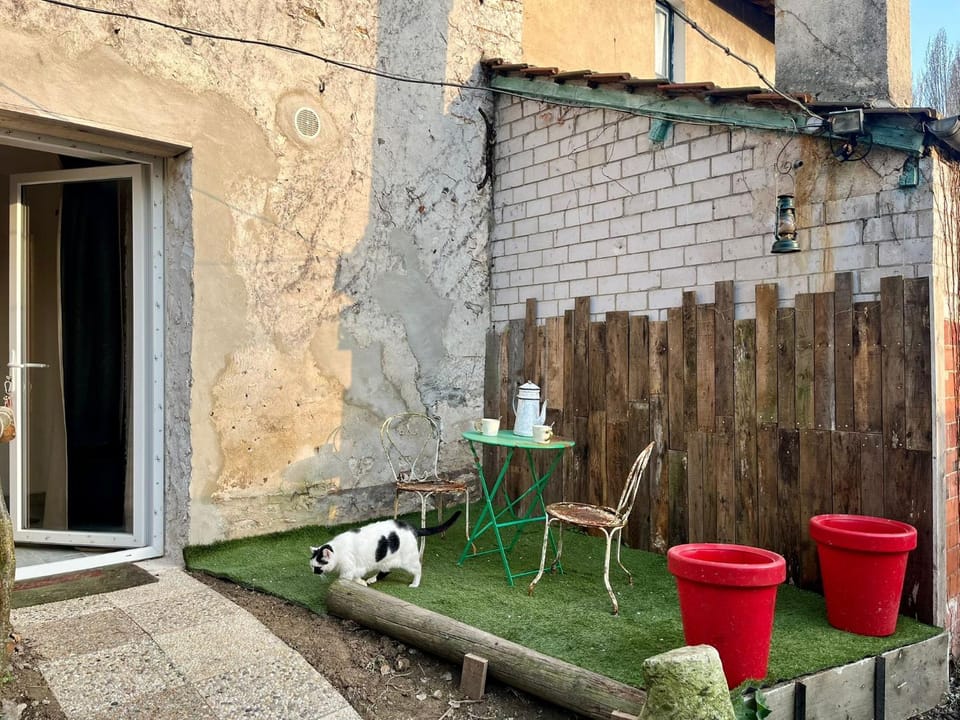 Patio, Staff, Summer, Text overlay, Text overlay, Breakfast, Seasons, Location