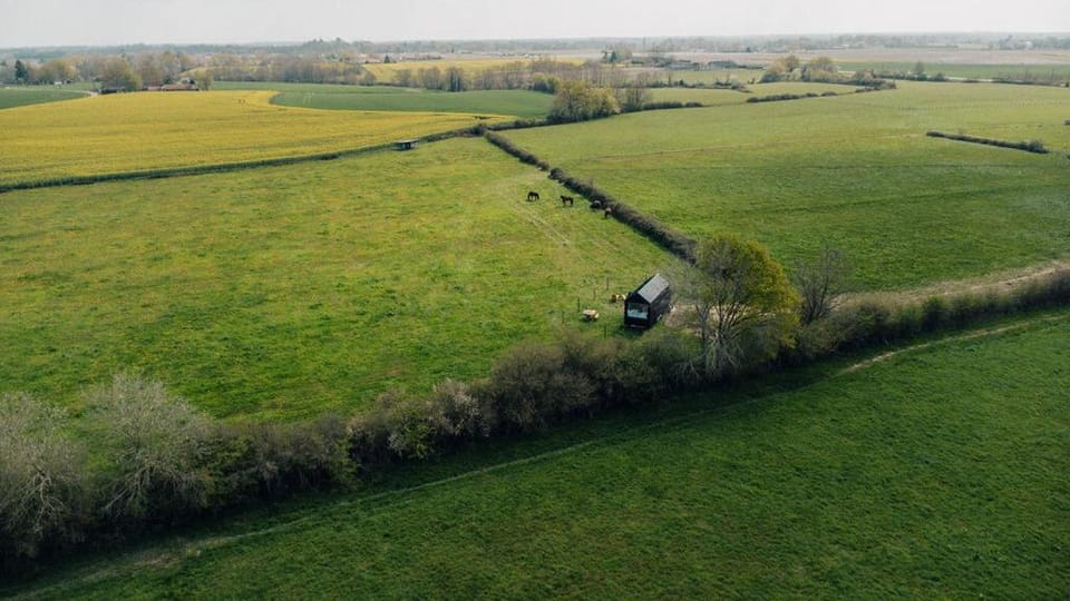 Romann - Parcel Tiny House - Tiny House à 1H30 de Lyon entourée par les chevaux MAE-1013 Nature lodge in Bourgogne-Franche-Comté