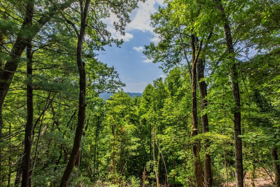 Tatra Nest - Powder Horn Mountain House in Watauga