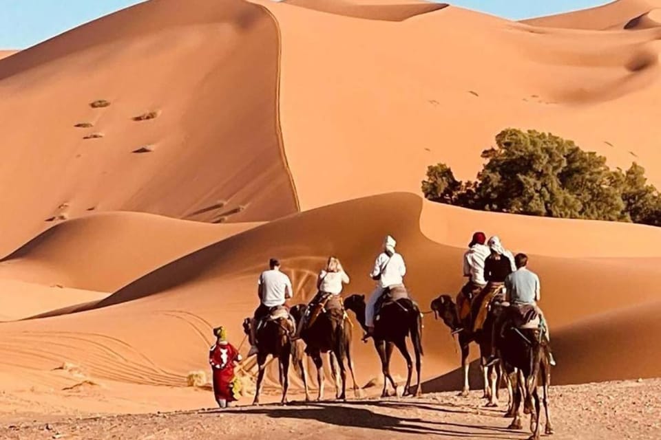 Elite Sahara Desert Camp Luxury tent in Morocco
