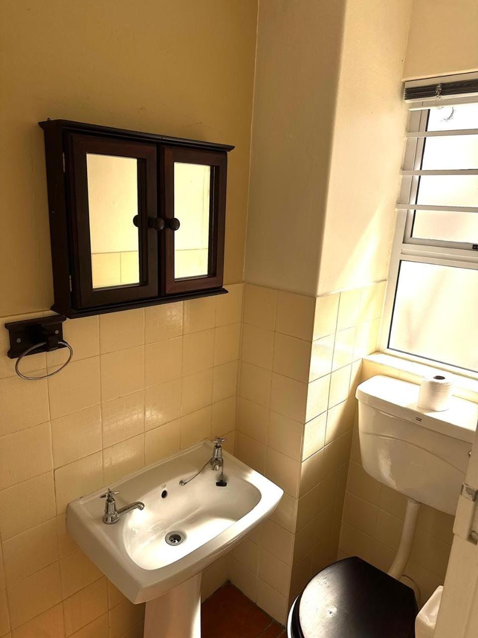 Woodbridge island ocean view Apartment in Cape Town