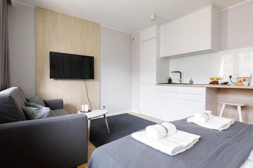TV and multimedia, Kitchen or kitchenette, Living room, Seating area, Bedroom