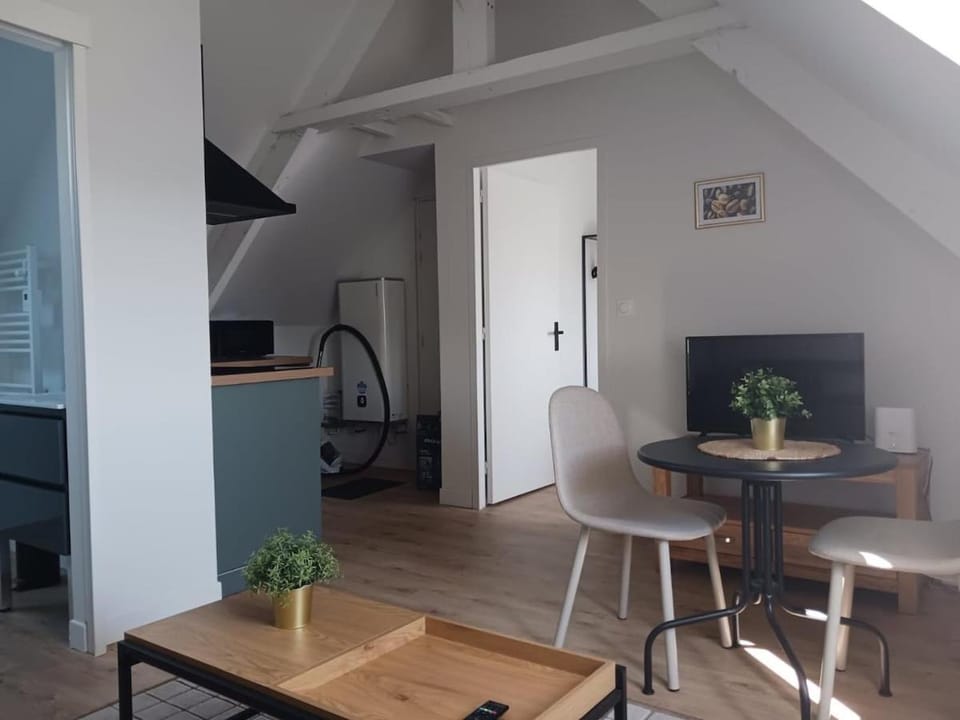 Le Briocéa - Wi-Fi - Television - Train station Apartment in Brittany