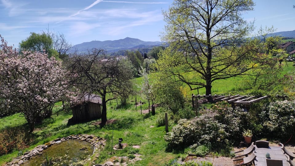 View (from property/room)