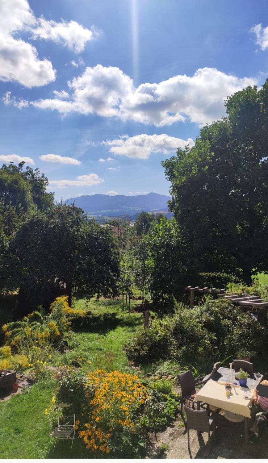 Garden view