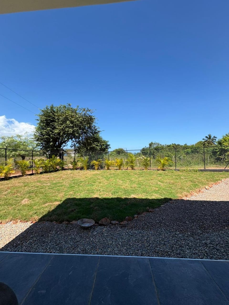 Garden view