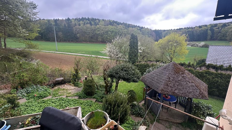 Garden view