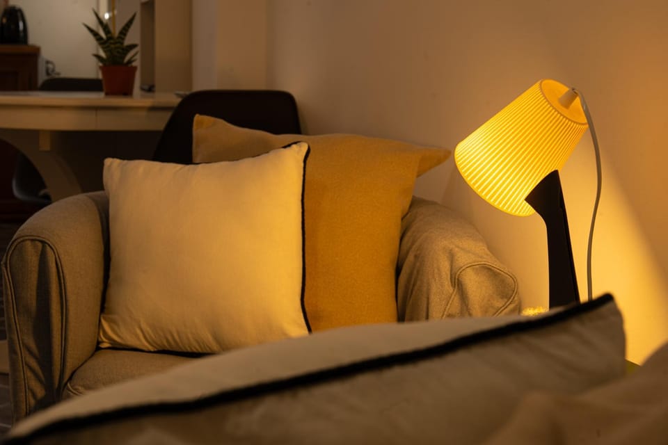 Bed, Living room, Photo of the whole room, Seating area, Bedroom