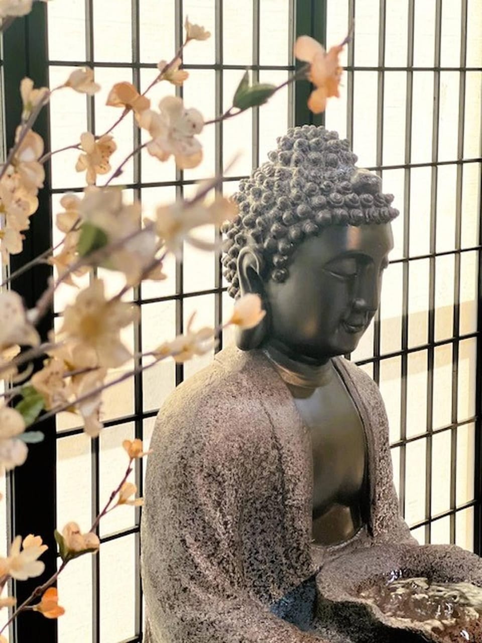 Asian Zen with Jacuzzi, Kitchenette, Near Victoria Sq House in Sparks